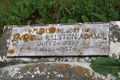CA-SK-RM315-Donovan Cemetery-049.JPG